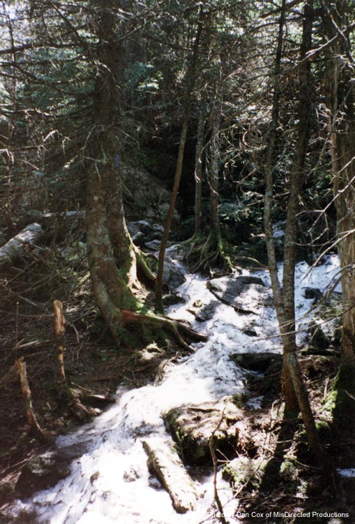 camel's hump trail